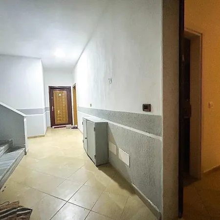 Delight 808 Golem (Tirana)